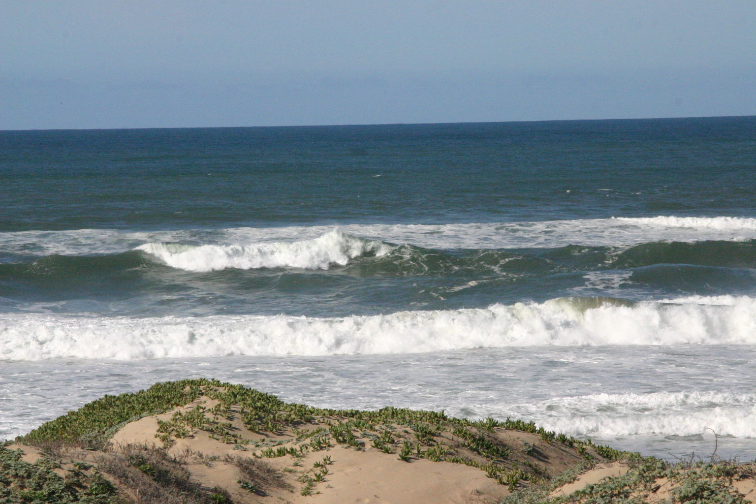 Oso Flaco Boardwalk